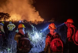 Políticas de proteção ambiental no Amazonas: legado de desmonte e desafios atuais